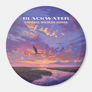 Aimant Blackwater National Wildlife Refuge Park Maryland