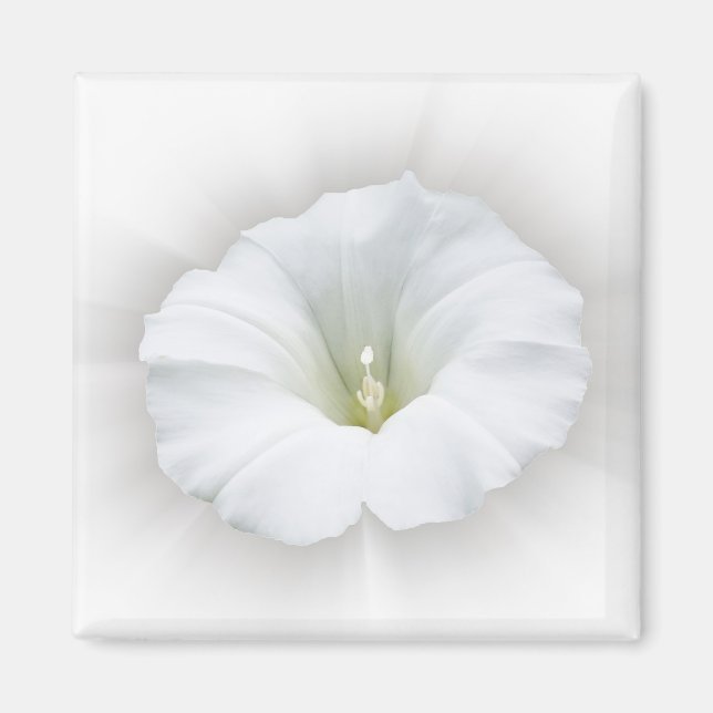 Aimant blanc et gris (Devant)