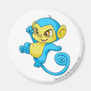 Aimant Bleu de Mynci
