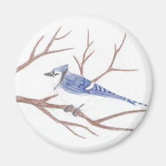 Aimant bleu Jay