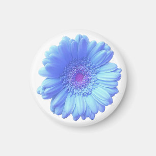 Aimant Bleu marguerite