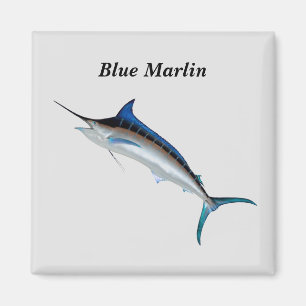 Aimant bleu Marlin