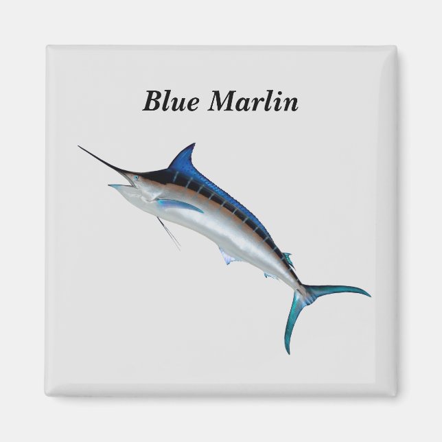 Aimant bleu Marlin (Devant)