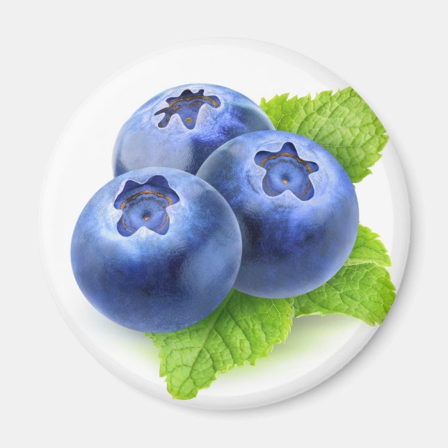 Aimant Bleuets et menthe (Devant)