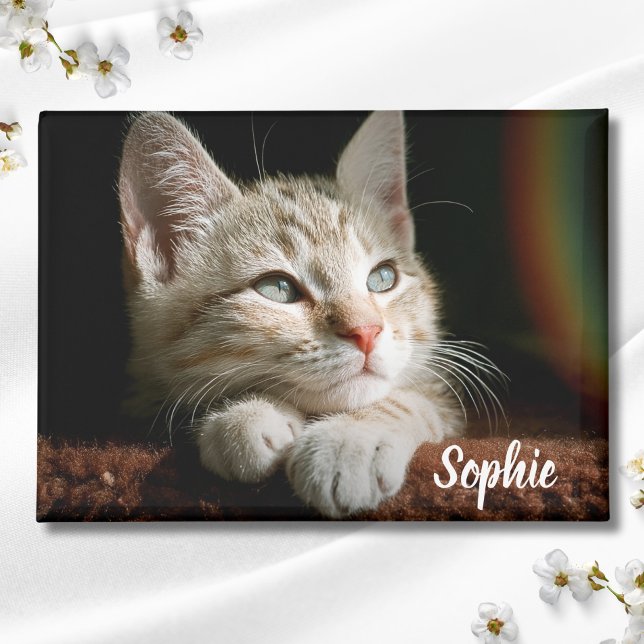 Aimant Bloc photo pour animaux (Cat Photo Magnet)