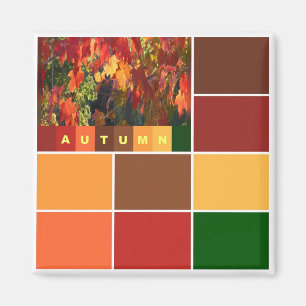 Aimant Blocs de couleurs d'automne