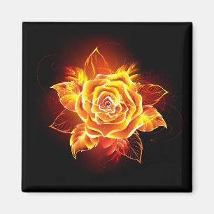 Aimant Blooming Fire Rose
