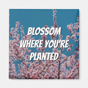 Aimant BLOSSOM DE Cerisier Floral OÙ VOUS ÊTES PLANTÉ