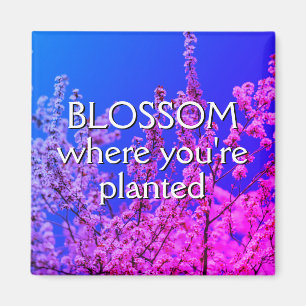 Aimant BLOSSOM OÙ VOUS ÊTES PLANTÉ Encouragement