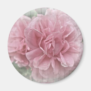 Aimant Blossoms des Roses Escalades roses