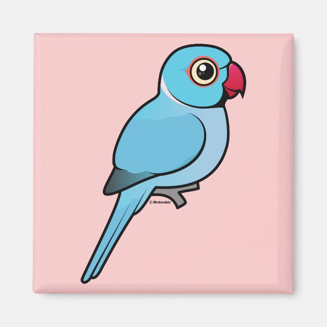 Aimant Blue Indian Ringneck (Devant)