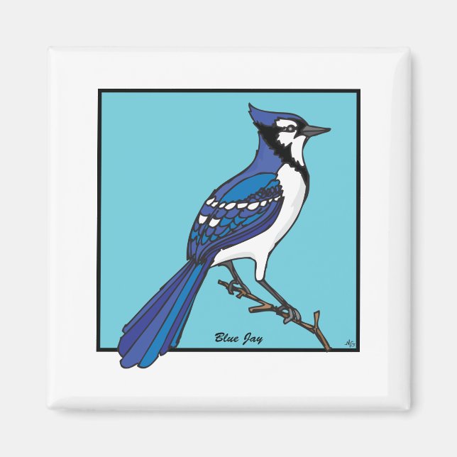 AIMANT BLUE JAY (Devant)