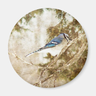 Aimant Blue Jay