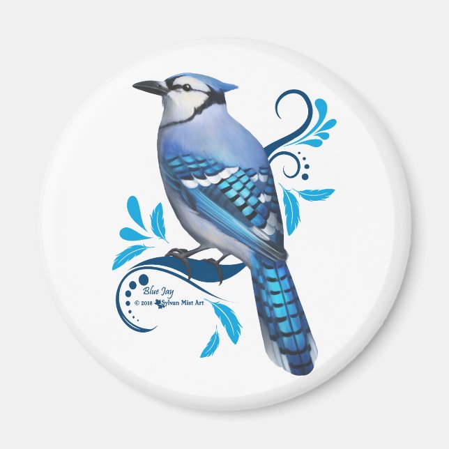 Aimant Blue Jay (Devant)