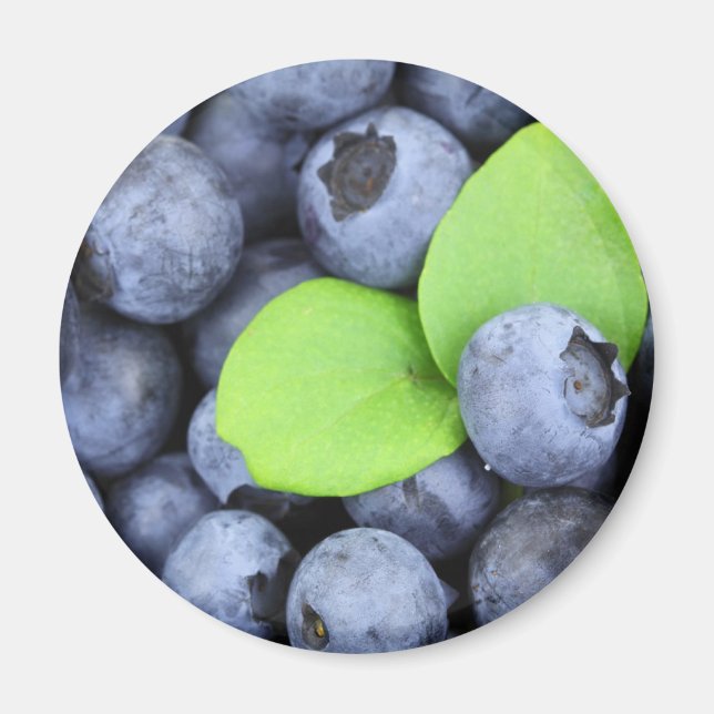 Aimant Blueberries v1 (Devant)