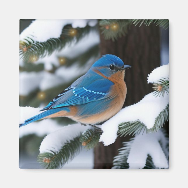 Aimant Bluebird d'hiver (Devant)