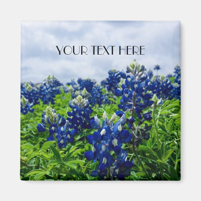 Aimant Bluebonnets Blue Flowers Texas texan Floral (Devant)