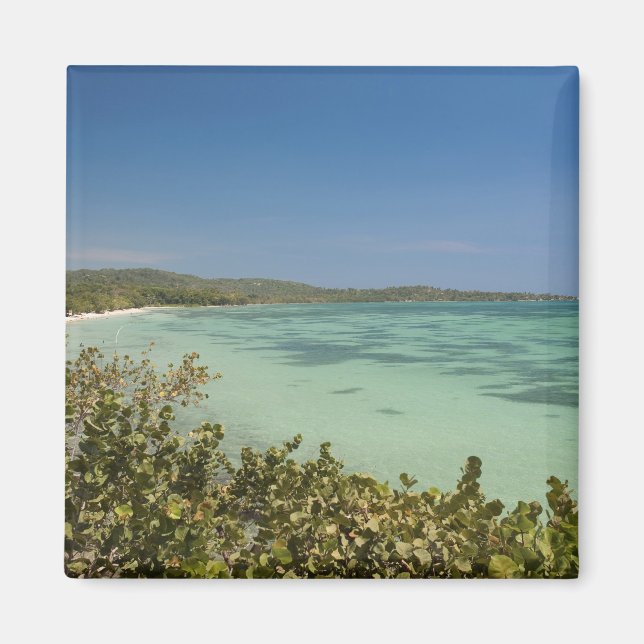 Aimant Bluefields, côte sud-ouest de la Jamaïque (Devant)