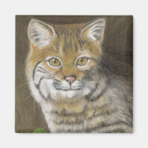 Aimant Bobcat