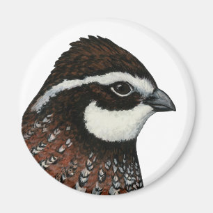 Aimant Bobwhite Quail Head