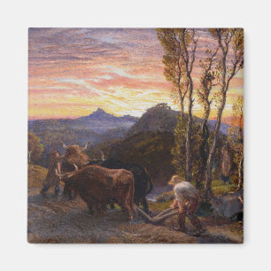 Aimant Boeufs labourant au coucher du soleil (la semaine