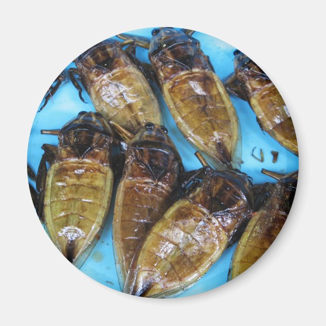 Aimant Bogue d'eau géante frite (Maeng Daa) ... Alimentat (Devant)