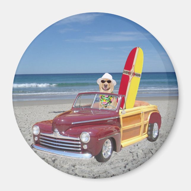 Aimant Bois de conduite du laboratoire jaune (Devant)