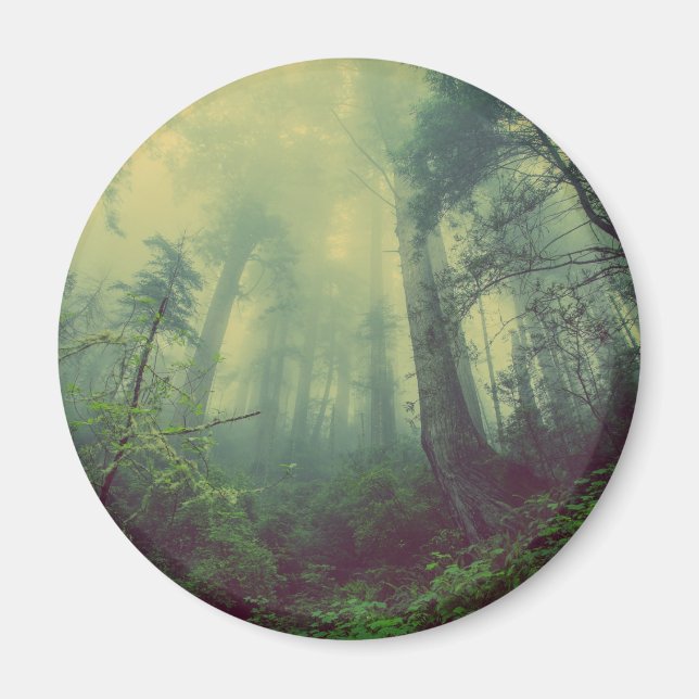 Aimant Bois Du Bas (Devant)