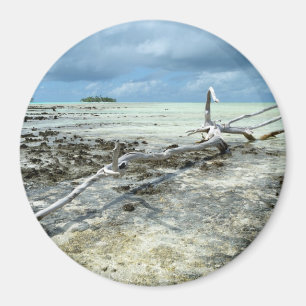 Aimant Bois mort dans l'aimant rond Pacifique