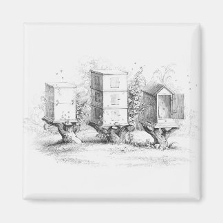 Aimant Boîtes d'abeilles vintages Miel