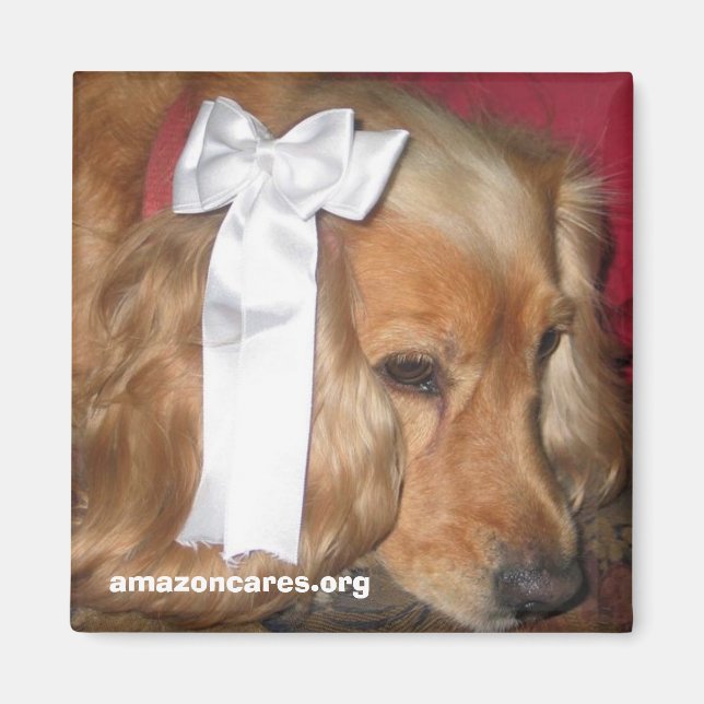 Aimant Bonnie (Devant)