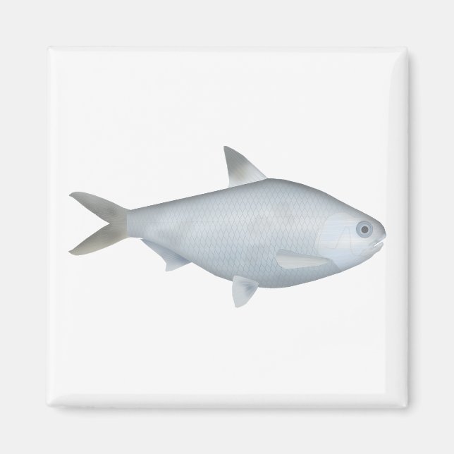 Aimant Bony Bream (Devant)