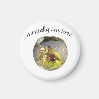 Aimant borb planetarium