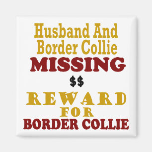 Aimant Border collie et récompense absente de mari pour