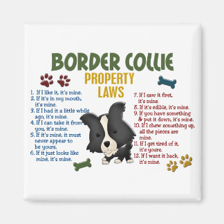 Aimant Bordure Collie Lois sur les propriétés 4