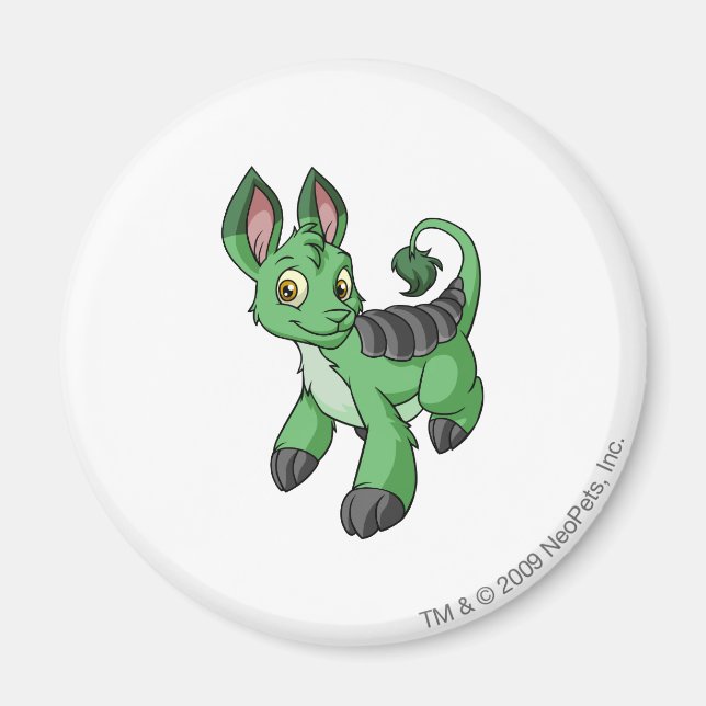 Aimant Bori Green (Devant)