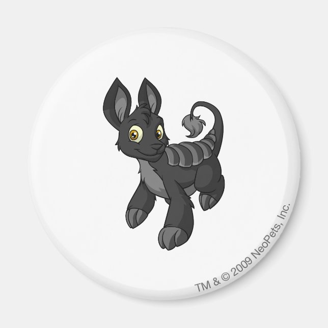 Aimant Bori Shadow (Devant)