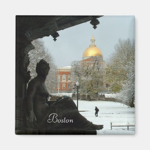 Aimant Boston Common