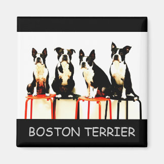 AIMANT BOSTON TERRIER