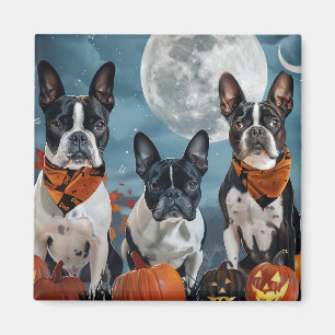 Aimant boston terrier Halloween Éffrayant