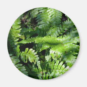 Aimant Botanique de fèves vertes de printemps