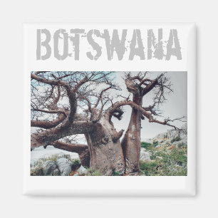 Aimant Botswana Kubu Island Baobab Tree Magazine