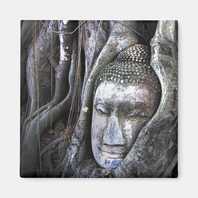 Aimant Bouddha Et Le Bouddhisme Arbre Thaïlande Photograp (Devant)