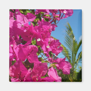 Aimant Bougainvilliers et palmiers paysage tropical