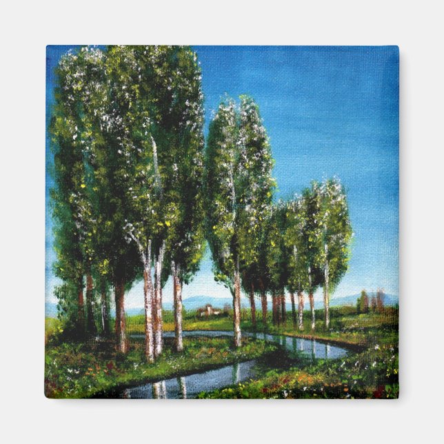 AIMANT BOULEAUX EN TOUSCANE (Devant)