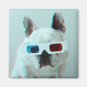 Aimant Bouledogue français avec les verres 3D
