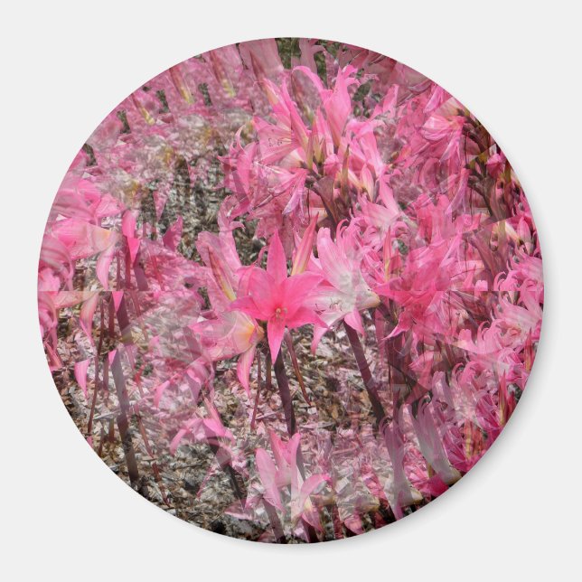 Aimant Bouquet d'Amaryllis..... (Devant)