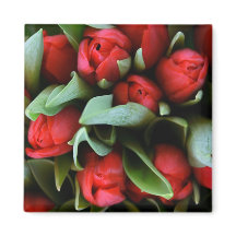 Bouquet des Tulipes rouges
