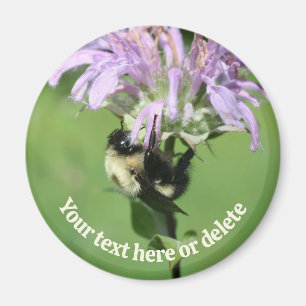 Aimant Bourdon sur une fleur de monarde personnalisée