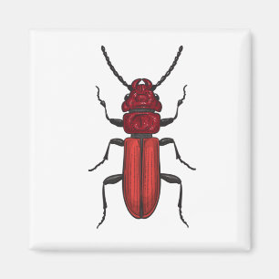 Aimant Bousier rouge